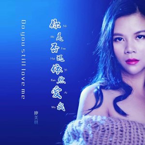 廖美琪 - 你是否还依然爱我 (伴奏)