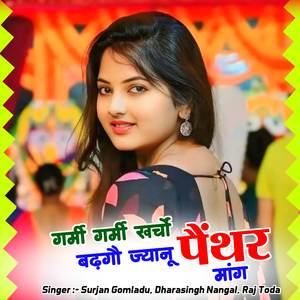 गर्मी गर्मी खर्चों बढ़गौ ज्यानू पैंथर मांग