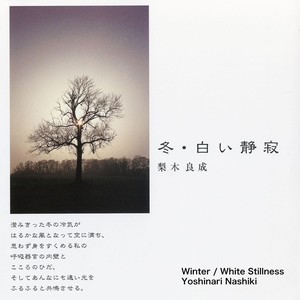 Winter / White Stillness