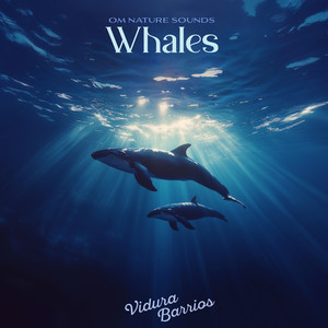 Om Nature Sounds Whales