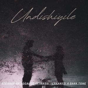 Undishiyile (feat. Stonner da vocalist, Inkosi yenkanyezi & Dark Tone DT)