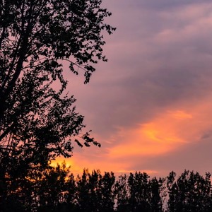 醉人的风景 (钢琴版)