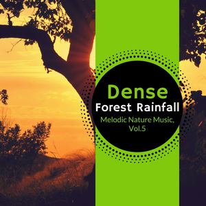 Dense Forest Rainfall - Melodic Nature Music, Vol.5