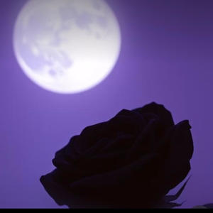 Crash Out (Explicit)