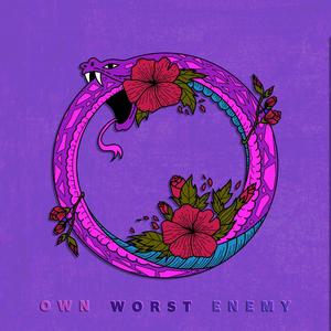 Own Worst Enemy