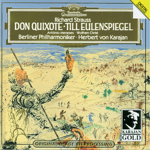 Don Quixote, Op. 35 - 14. Finale (Sehr ruhig) (ドン・キホーテ: シュウキョク|交響詩《ドン・キホーテ》作品35: 終曲（きわめて静かに）｢ドン・キホーテの死｣)
