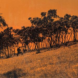 Ride With Me (feat. Fonzo, FACE!, 26Suave & C3O) (Explicit)