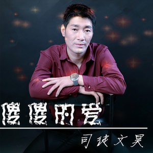 傻傻的爱