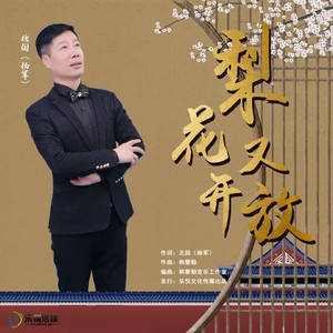 梨花又开放 (伴奏)