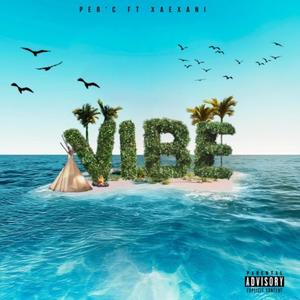 Vibe (feat. XaeXani) [Explicit]