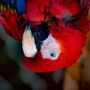 Last For Uz (Explicit)