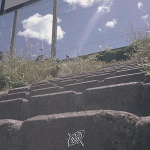 Somewhere in between