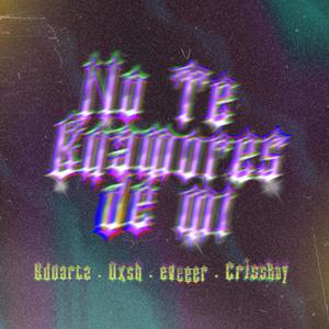 No Te Enamores de Mi (feat. Dxsh, eveeer & CrissRoy) [Explicit]