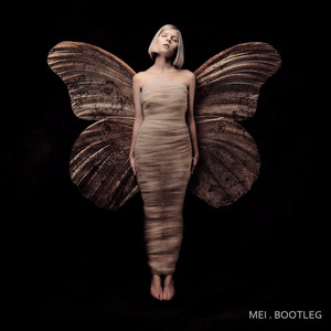 AURORA-Runaway (M€I remix)