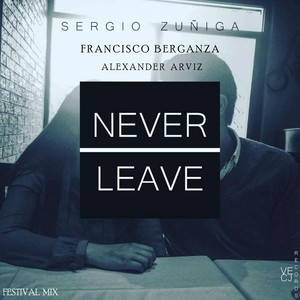 Never Leave (Festival Mix)