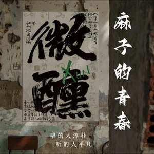 麻子的青春 (吉他版)