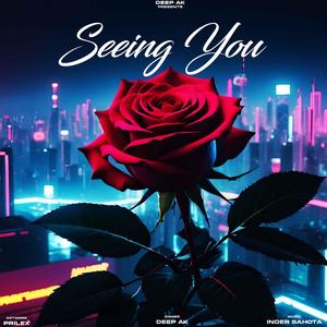 Seeing You (Explicit)