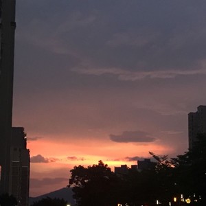 尘埃生光 (伴奏)