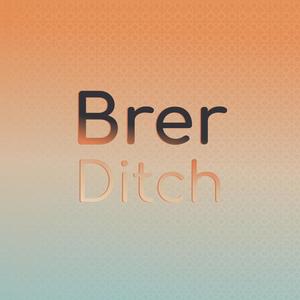 Brer Ditch