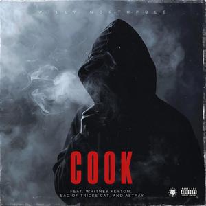 Cook (feat. Bag Of Tricks Cat) [Explicit]