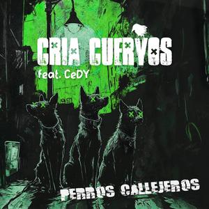 Perros callejeros (feat. Maldeperro) [Explicit]