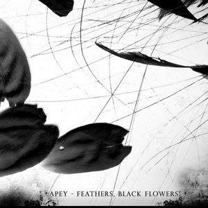 Feathers, Black Flowers (Explicit)