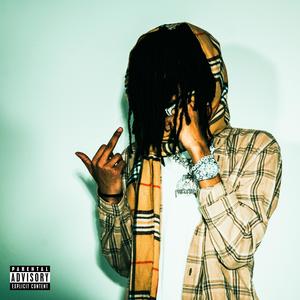 The Amount (Explicit)