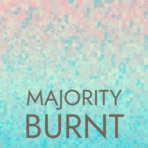 Majority Burnt