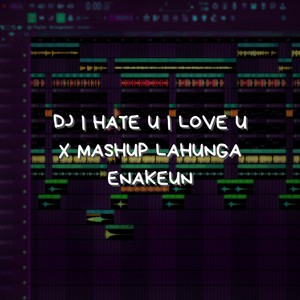 DJ I Hate U I Love U X Mashup Lahunga Enakeun
