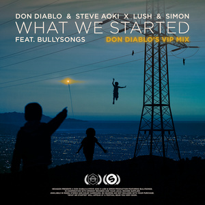 What We Started (Don Diablo's VIP Mix)
