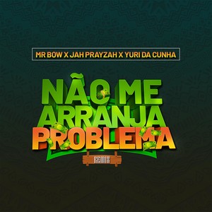 Não Me Arranja Problema (Remix)