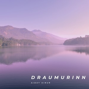 Draumurinn