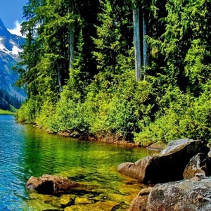 Kiệu Hồng Đưa Đón (Duy Văn)