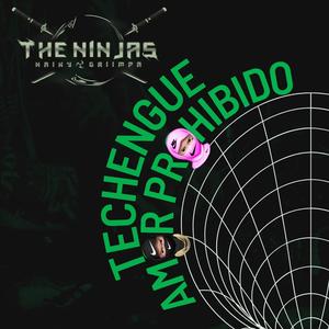 Amor Prohibido (feat. Griimpa) (Techengue)