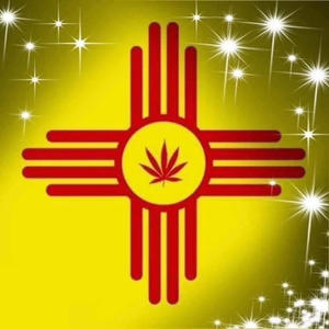 In the function (feat. Big V) (Explicit)