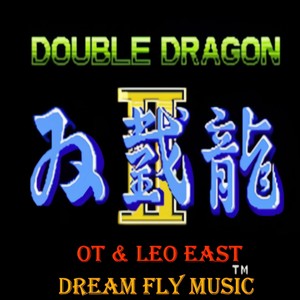 The Double Dragon（双截龙）