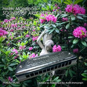 Kangasala Wandering Mind