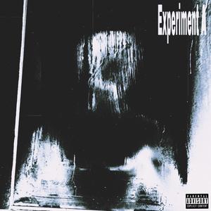 Experiment A (Explicit)