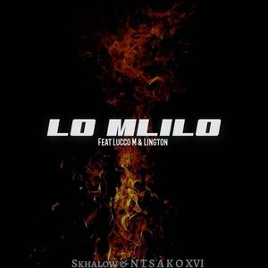 LO MLILO