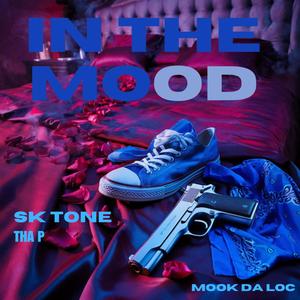 IN THE MOOD (feat. SK TONE (tha p)) [Explicit]