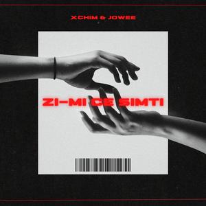 Zi-mi Ce Simti (feat. Jowee)