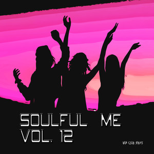Disco Flight (DJ Sign Remix)