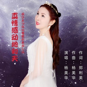 真情感动地和天封面