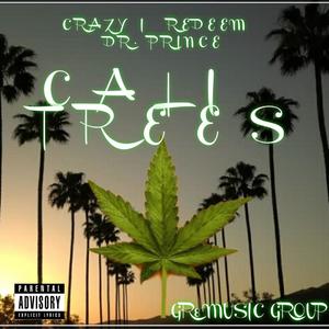 CALI TREES (Explicit)