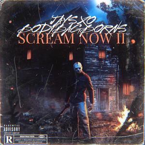 Scream Now, Pt.2 (Explicit)