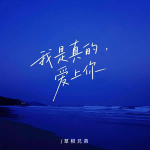 我是真的爱上你
