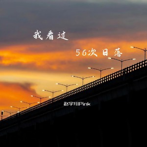 我看了56次日落