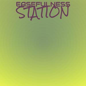 Easefulness Station