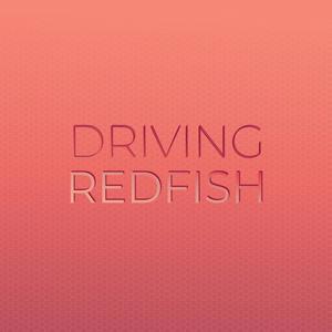 Driving Redfish