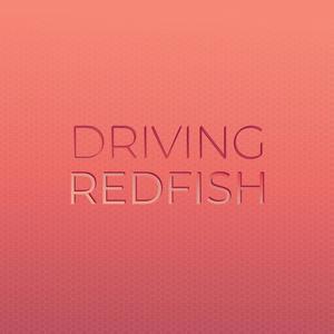 Idioelectric Feelings